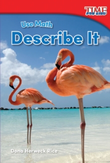 Use Math : Describe It