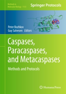 Caspases,Paracaspases, and Metacaspases : Methods and Protocols, Hardback Book Caspases,Paracaspases, and Metacaspases : Methods and Protocols, Hardback Book