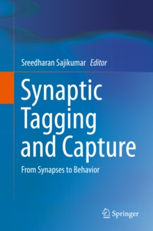 Synaptic Tagging and Capture : From Synapses to Behavior