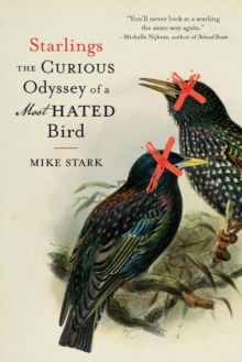 Starlings : The Curious Odyssey of a Most Hated Bird