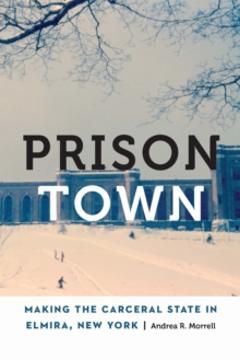Prison Town : Making the Carceral State in Elmira, New York