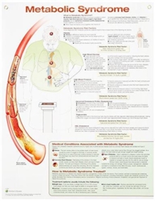 Metabolic Syndrome Anatomical Chart Laminated, Poster Book Metabolic Syndrome Anatomical Chart Laminated, Poster Book