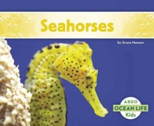 Seahorses, Paperback / softback Book Seahorses, Paperback / softback Book