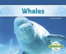 Whales, Paperback / softback Book Whales, Paperback / softback Book