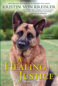 A Healing Justice, Paperback / softback Book A Healing Justice, Paperback / softback Book