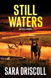 Still Waters : A Riveting Novel of Suspense