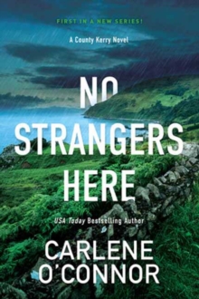 No Strangers Here : A Riveting Dark Irish Mystery