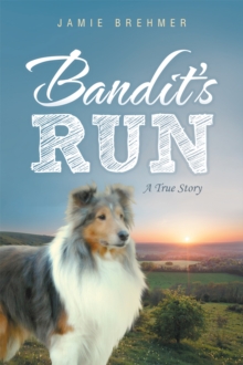 Bandit's Run : A True Story