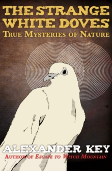 The Strange White Doves : True Mysteries of Nature