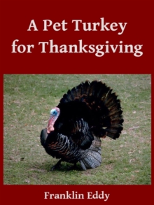 Pet Turkey for Thanksgiving