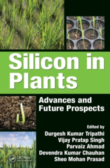 Silicon in Plants : Advances and Future Prospects