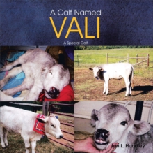 A Calf Named Vali : A Special Calf