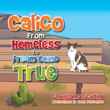 Calico : From Homeless to Dream Come True