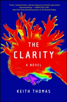 The Clarity : A Novel