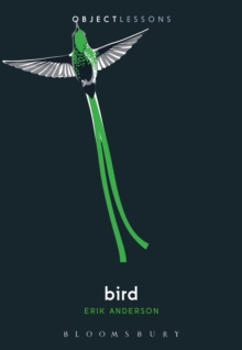 Bird, Paperback / softback Book Bird, Paperback / softback Book