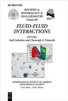 Fluid-Fluid Interactions