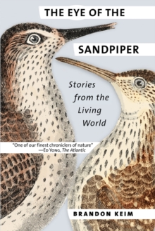 The Eye of the Sandpiper : Stories from the Living World