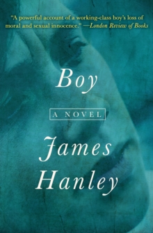 Boy : A Novel