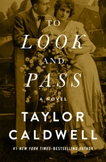 To Look and Pass : A Novel