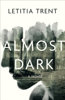 Almost Dark : A Novel