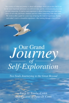 Our Grand Journey of Self-Exploration : Two Souls Journeying to the Great Beyond