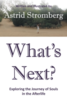 What's Next? : Exploring the Journey of Souls in the Afterlife