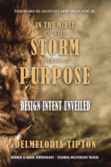 In the Midst of the Storm There Is Purpose : Design Intent Unveiled