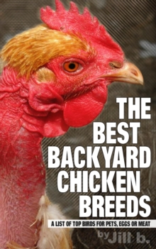 Best Backyard Chicken Breeds: A List of Top Birds for Pets, Eggs and Meat