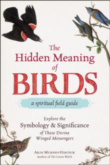 The Hidden Meaning of Birds--A Spiritual Field Guide : Explore the Symbology and Significance of These Divine Winged Messengers