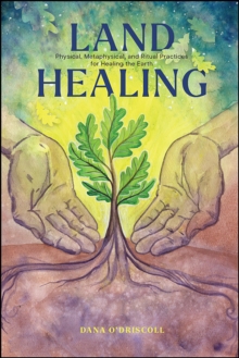 Schiffer Publishing Land Healing , Physical, Metaphysical, And Ritual Practices For Healing The Earth