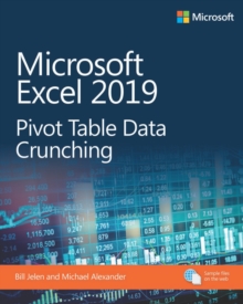 Microsoft Excel 2019 Pivot Table Data Crunching