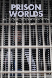 Prison Worlds : An Ethnography of the Carceral Condition