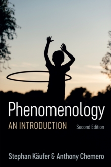 Phenomenology : An Introduction