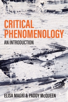 Critical Phenomenology : An Introduction