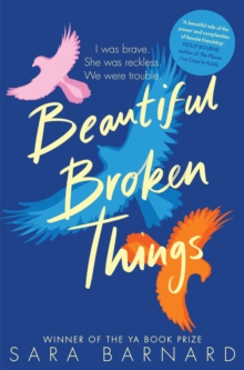 Beautiful Broken Things