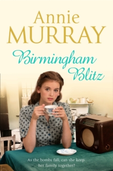 Birmingham Blitz, Paperback / softback Book Birmingham Blitz, Paperback / softback Book