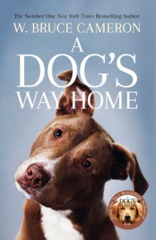 A Dog's Way Home : The Heartwarming Story of the Special Bond Between Man and Dog, Paperback / softback Book A Dog's Way Home : The Heartwarming Story of the Special Bond Between Man and Dog, Paperback / softback Book
