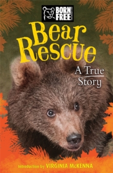 Born Free: Bear Rescue, Paperback / softback Book Born Free: Bear Rescue, Paperback / softback Book