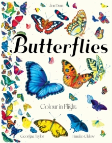 Butterflies : Colour in Flight