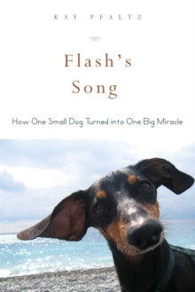 Flash's Song : How One Small Dog Turned into One Big Miracle