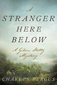 A Stranger Here Below : A Gideon Stoltz Mystery