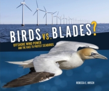 Birds vs. Blades? : Offshore Wind Power and the Race to Protect Seabirds