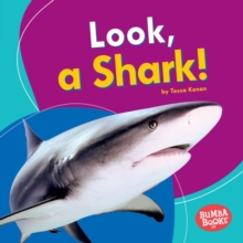 Look, a Shark!