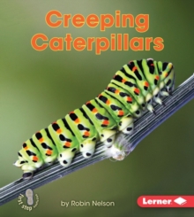 Creeping Caterpillars