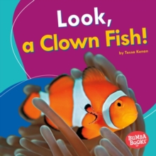 Look, a Clown Fish!