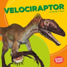 Velociraptor