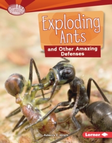 Exploding Ants and Other Amazing Defenses