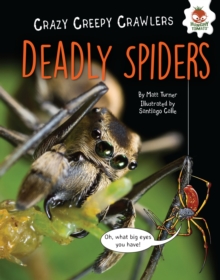 Deadly Spiders