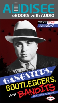 Gangsters, Bootleggers, and Bandits