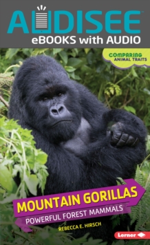 Mountain Gorillas : Powerful Forest Mammals